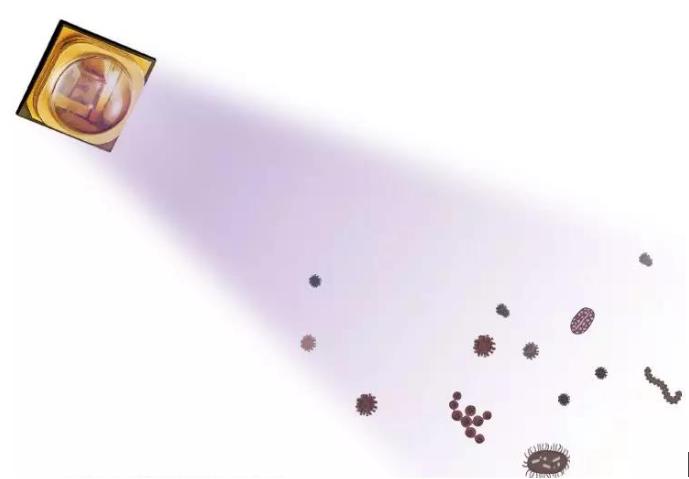 被忽略的王者英雄,被忽视的王者英雄