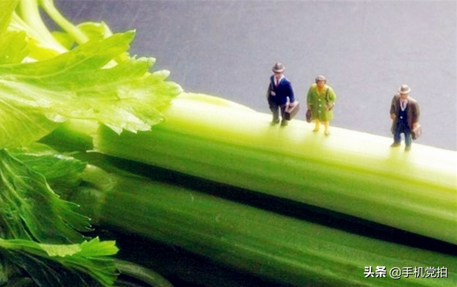 手机摄影怎么拍空房的空间感,手机黄墙拍照怎么拍出高级感