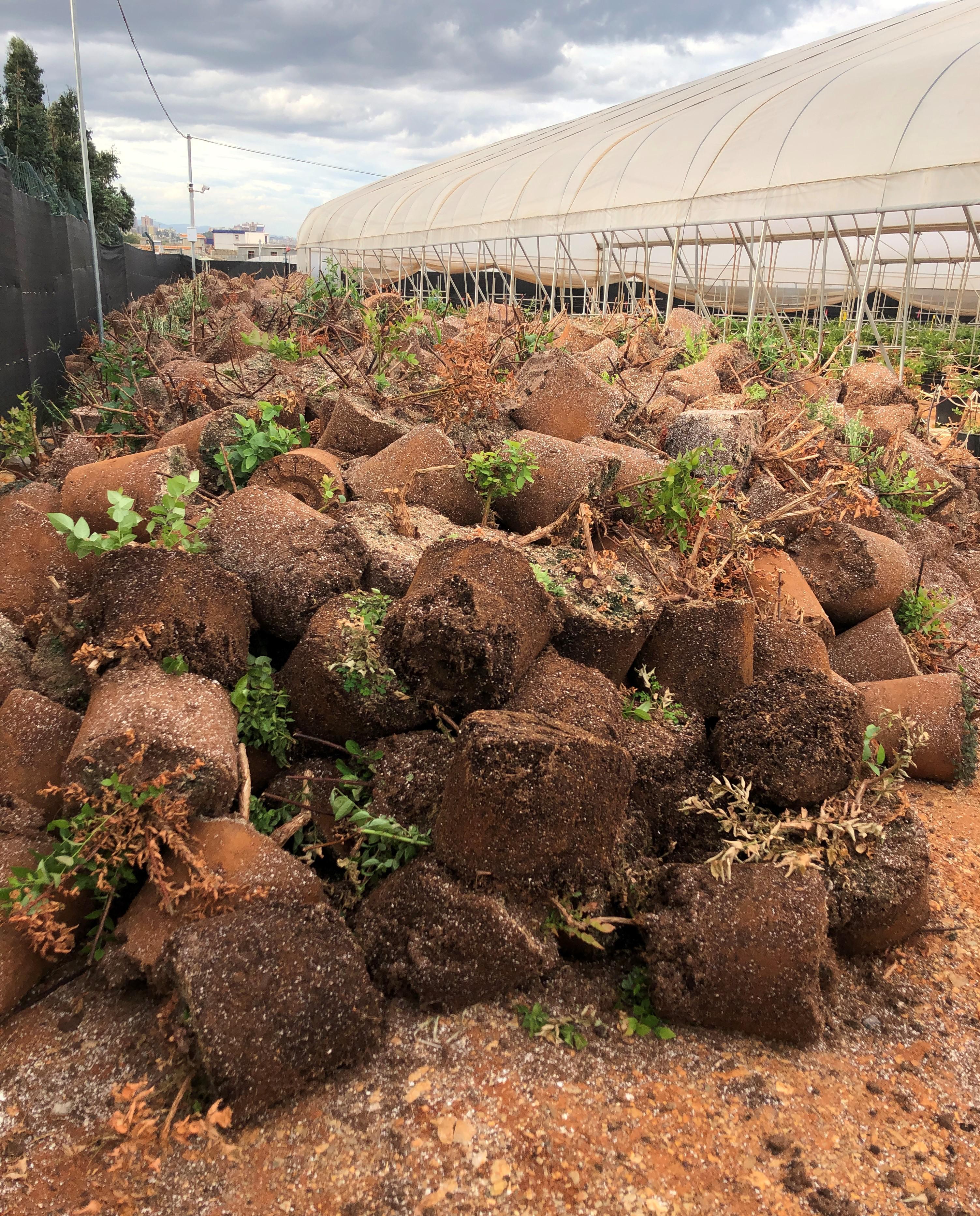 资本进驻后导致公司产生纠纷,公司引入资本发生股东纠纷