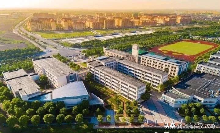 杨超越临港落户,锦鲤杨超越