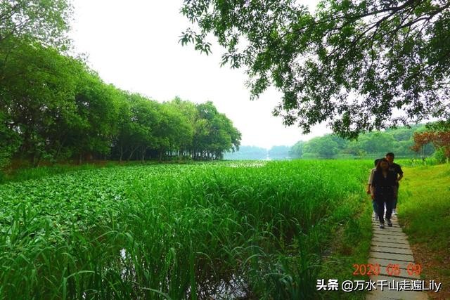 杭州不为人知的世外桃源,杭州幽静的去处