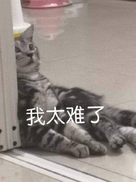 繁殖能力最强的虫子,什么鱼繁殖能力最强