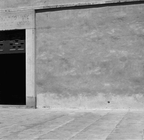 除了佩奇还有一个粉红小猪叫什么,除了小猪佩奇还有什么动画片