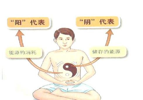 腹痛：相兼为病、病变复杂，调之：通利祛邪、温补扶正