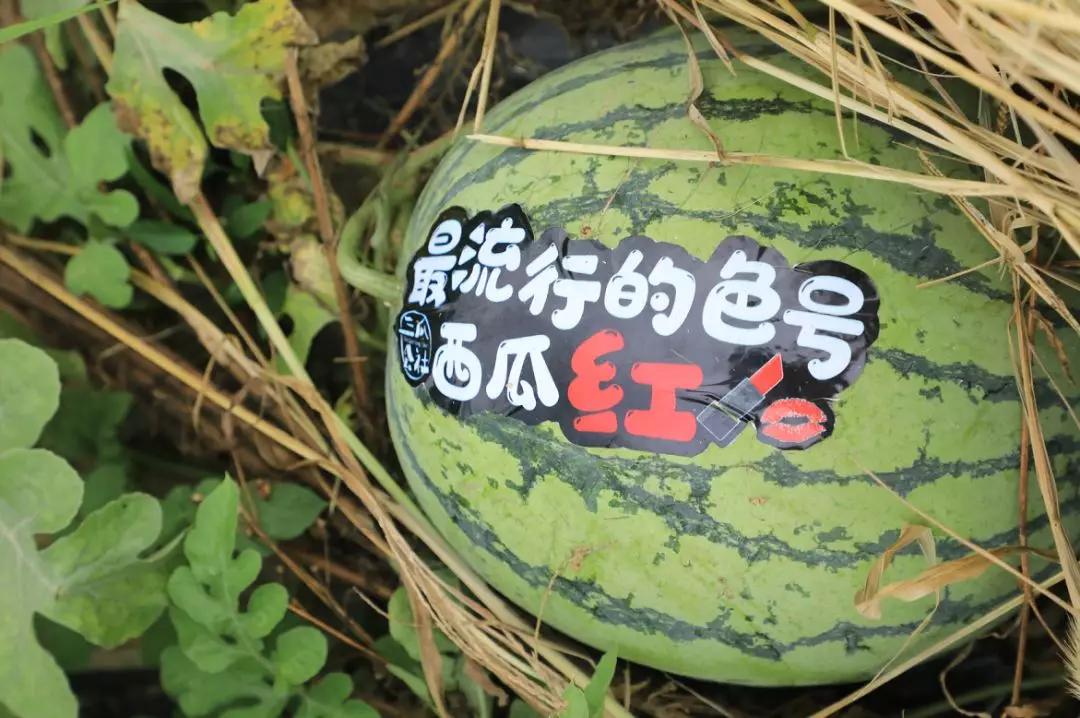 半汤温泉旅游攻略,半汤温泉养生度假区有哪些温泉