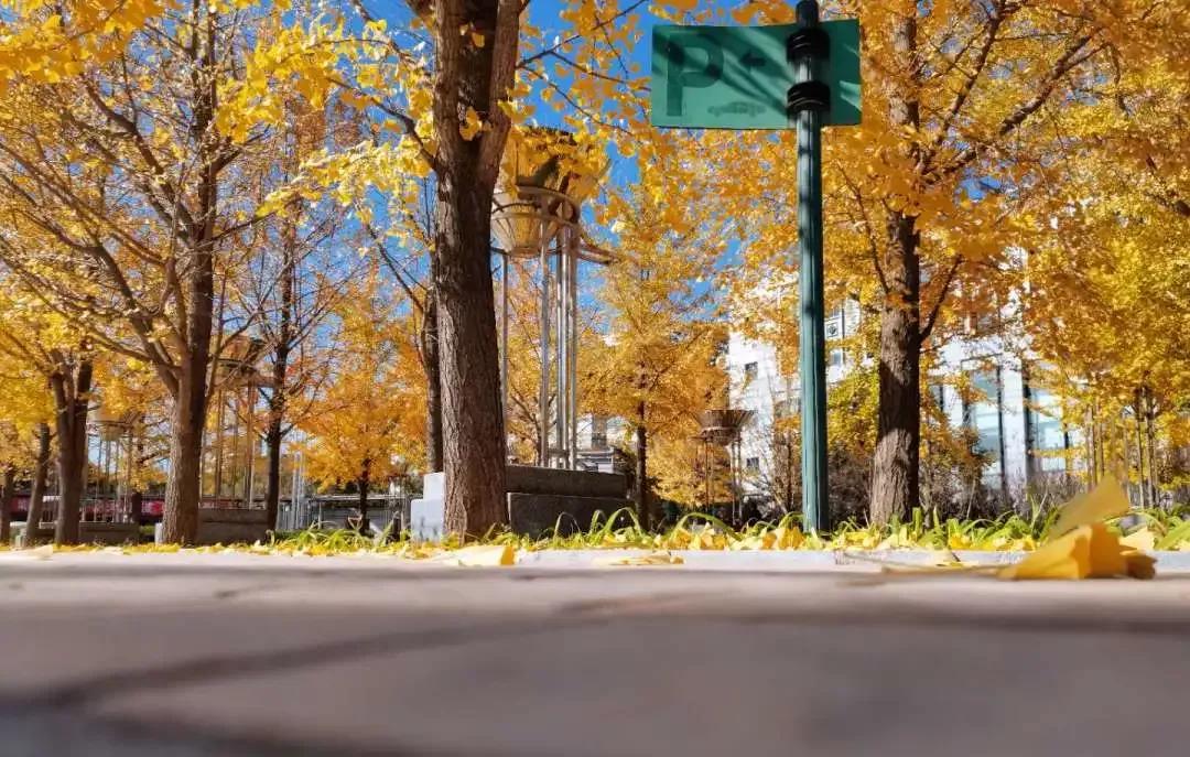 沈阳理工大学辽宁工程技术大学,沈阳理工大学专科院校