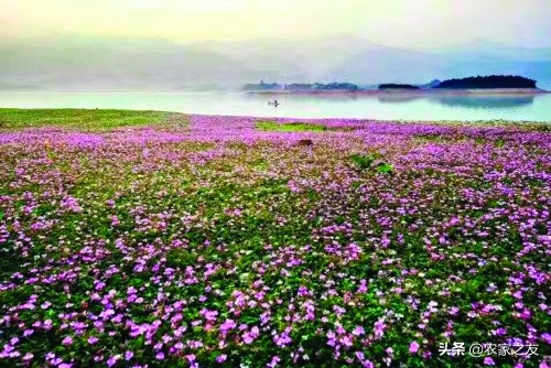 广西桂林：青狮潭库区移民的“谋生之路”