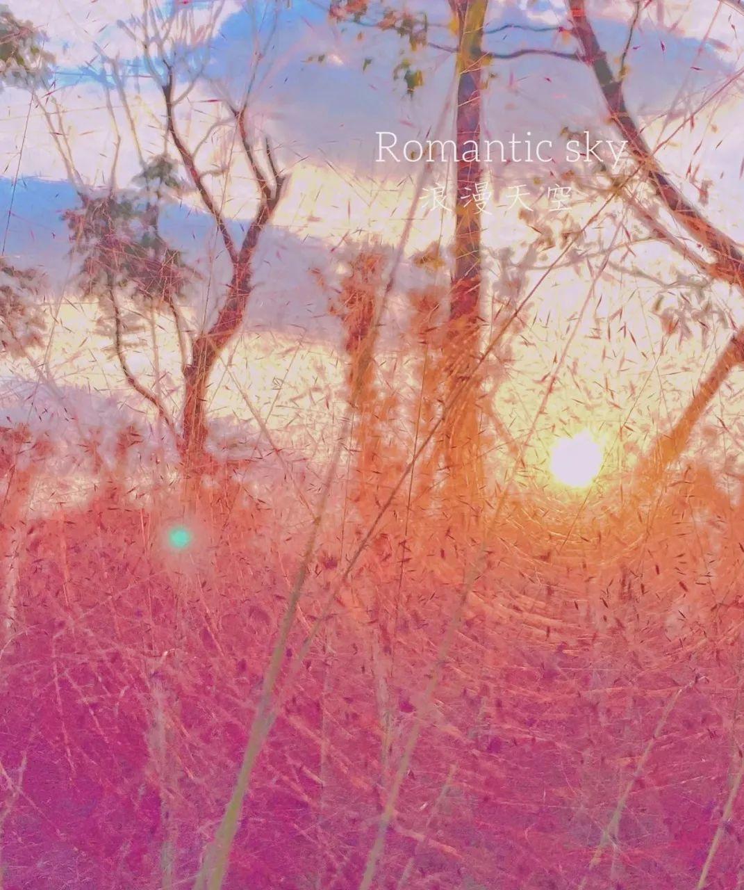 粉黛乱子草红了！成都周边这6个地方，不收门票这周就能去