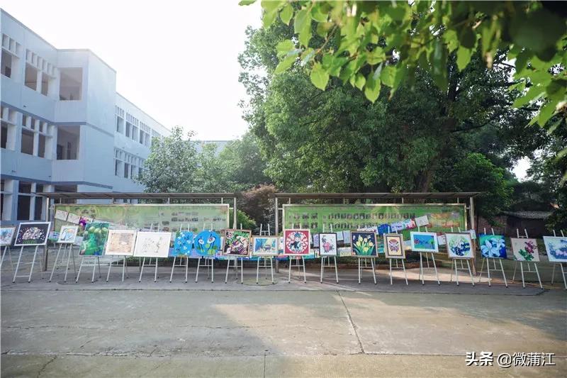 蒲江县复兴小学,蒲江复兴小学合唱