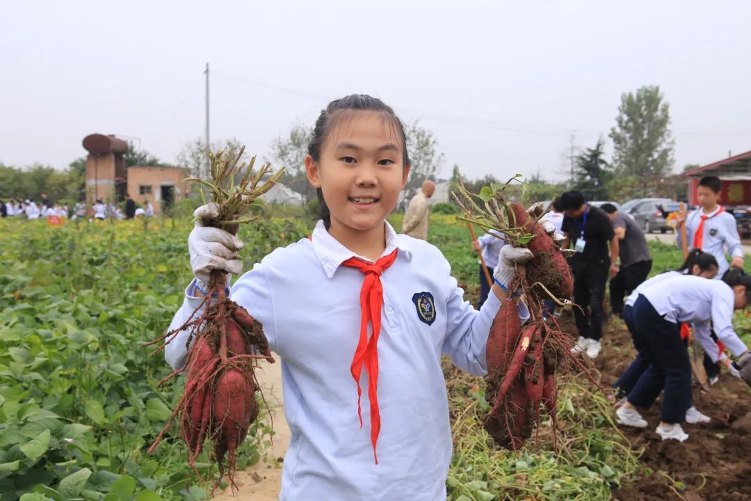 课后服务针对义务教育阶段吗,课后服务对教育教学的改变