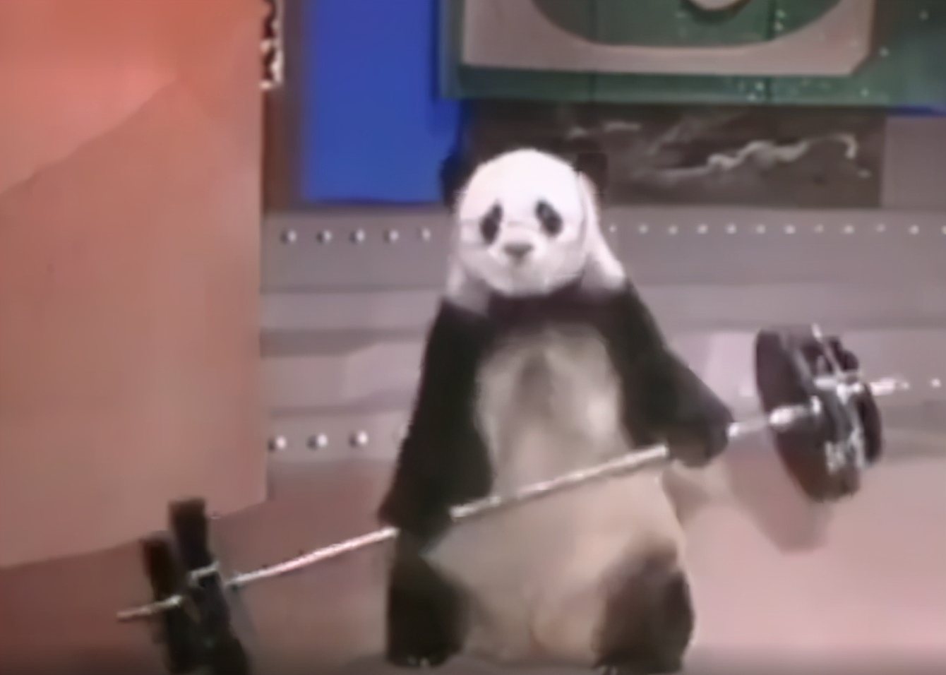 冬天里的一把火是哪一年的春晚,冬天里的一把火春晚实录