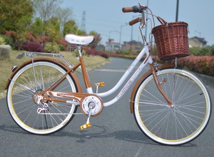 十款适合长途骑行的旅行车自行车,骑行爱好者自行车入门级