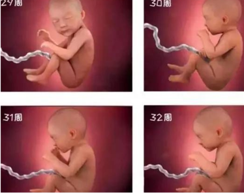 孕晚期,这些迹象说明进入胎儿的“猛涨期”,孕妈们要注意