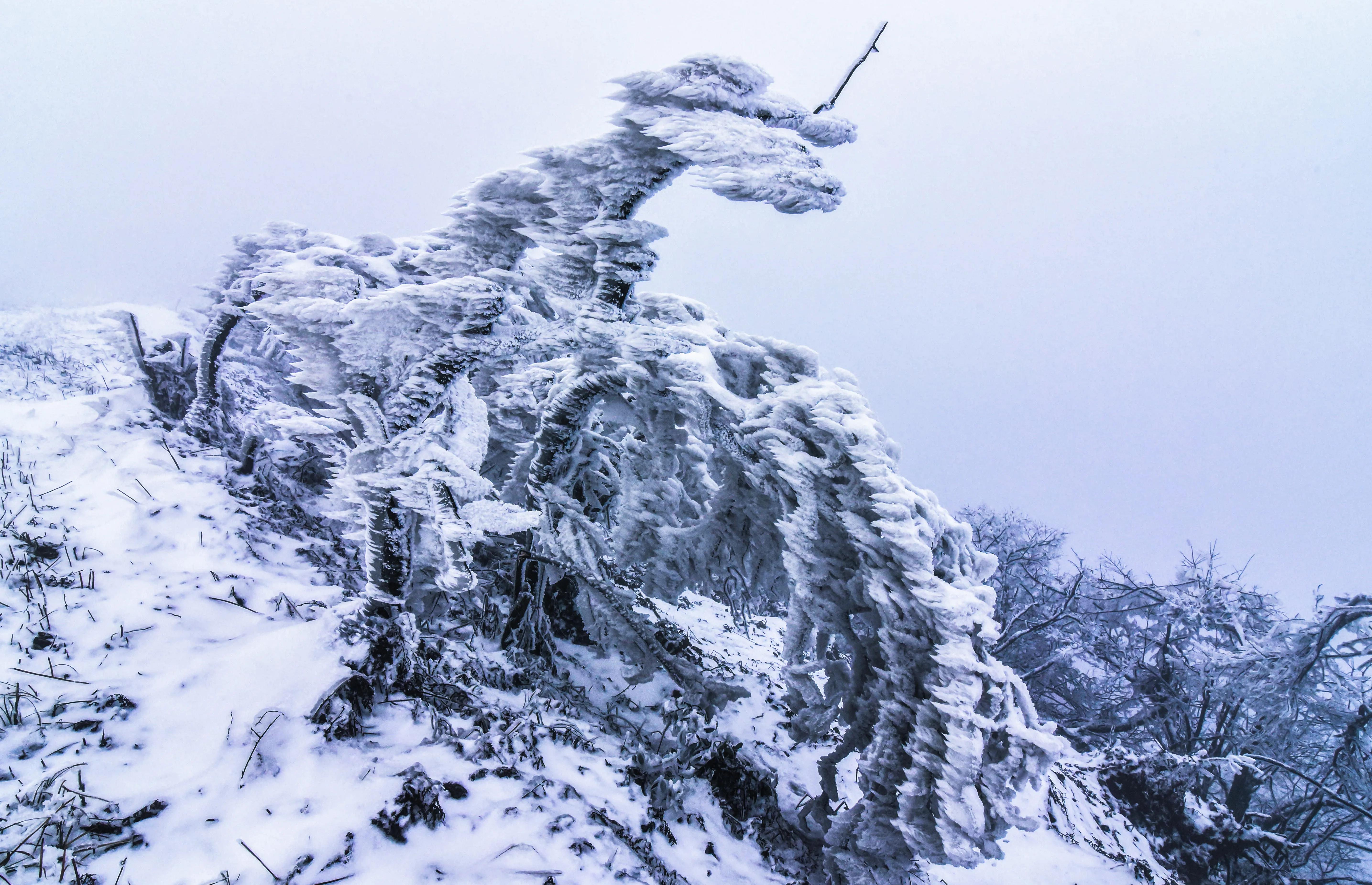 贵州大学1984级管科系同学欢聚毕节录