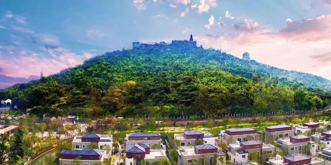 深度楼盘佘山御庭：隐藏在都市山水中的“至宝”