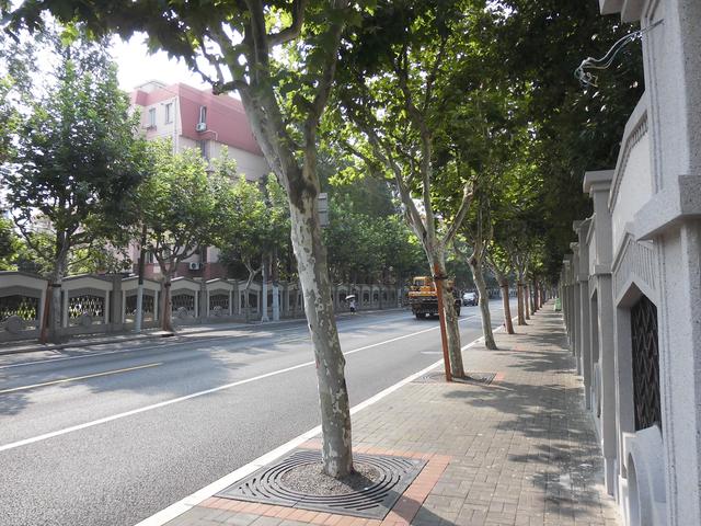 这里有美丽如画的校园风光,原平路学校