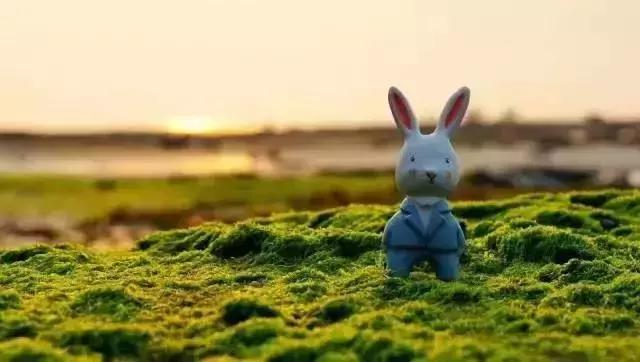 你的微信名暴露了你的层次,微信名出卖了你的阶层