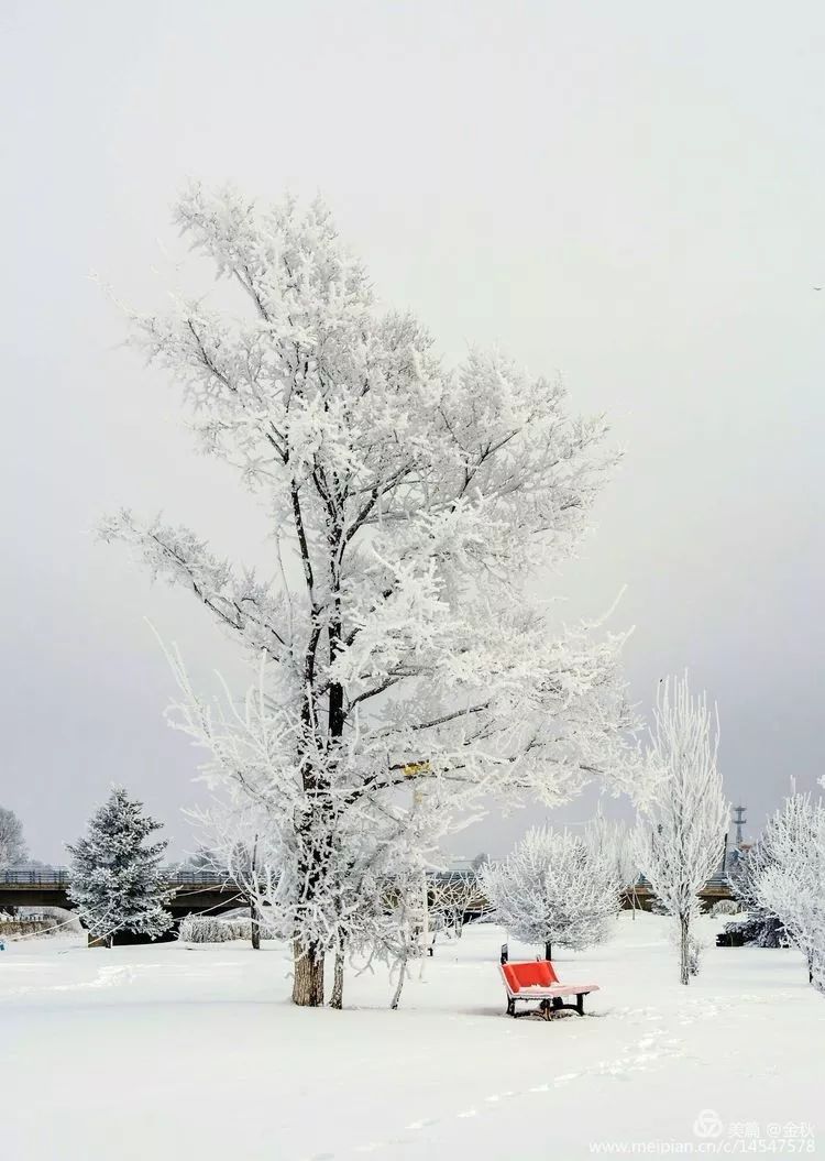 离俄罗斯只有一江之远,离黑龙江很近的俄罗斯城市