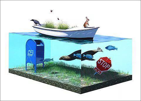 海王星运转周期,海王星的运转周期