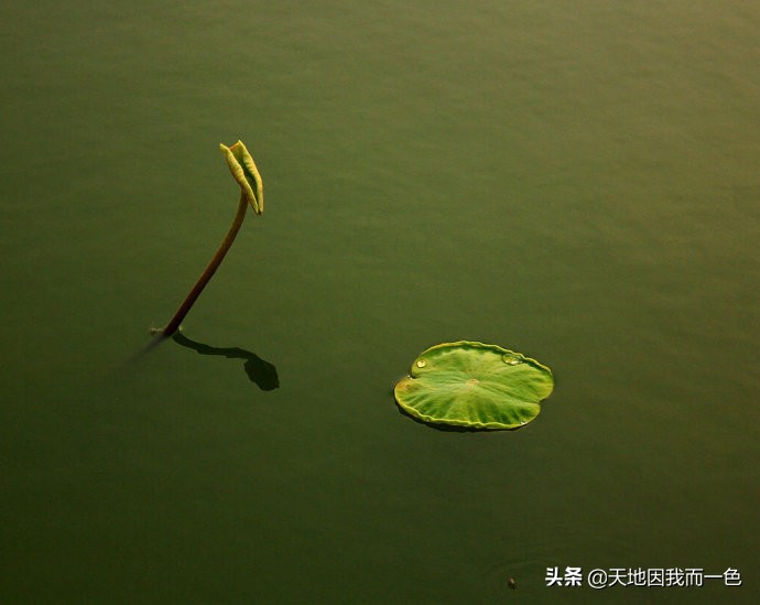 「原创文章」徐老师聊作文——做一个“精神灿烂”的人