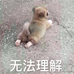 五个月宝宝肾里长满结石,宝宝5个月含钙高的辅食