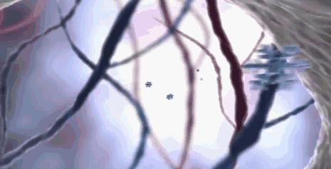 绝佳美人在线阅读,绝佳美人是什么意思