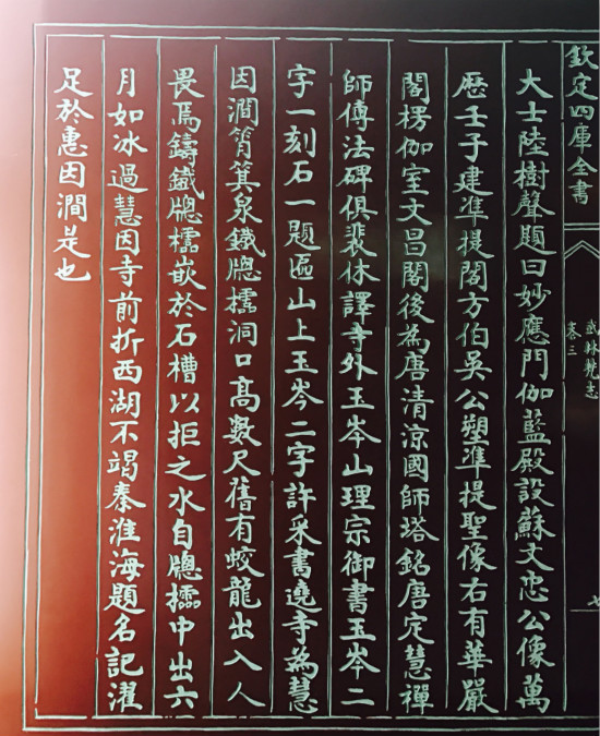 苏东坡存古寺石像,眉山苏轼遗迹