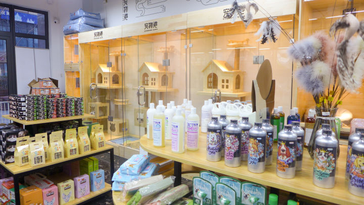 北京推荐的宠物店,北京宠物店推荐宠物港