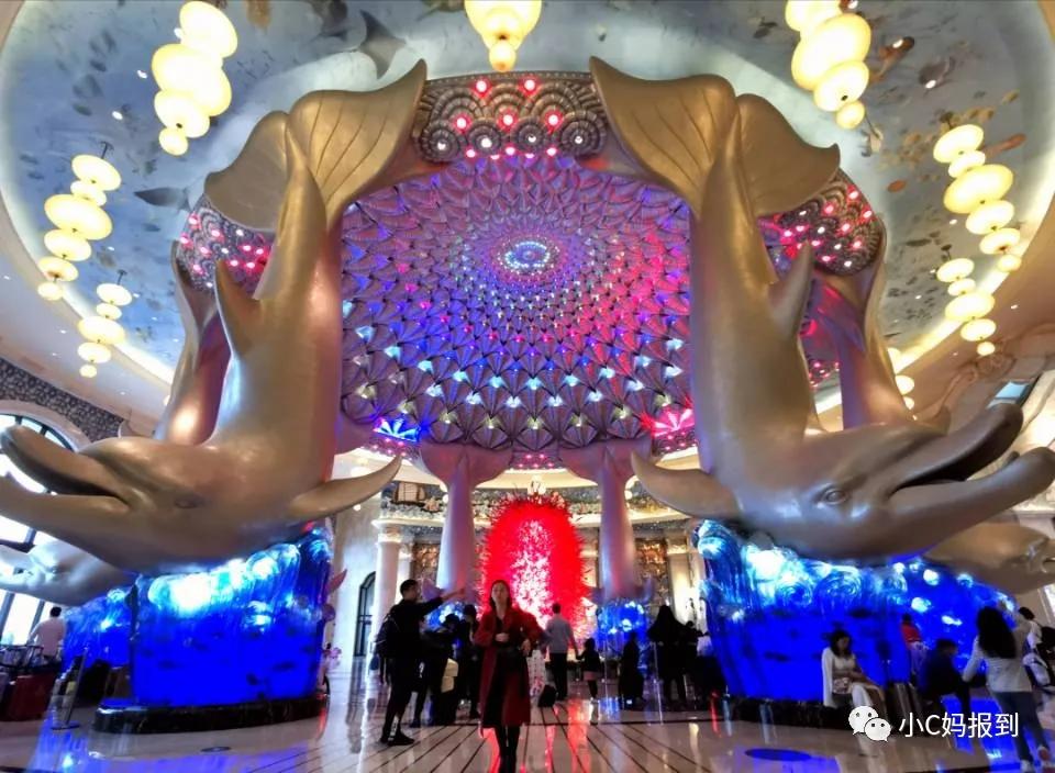 珠海长隆旅游攻略吃住一体,带孩子去珠海长隆攻略