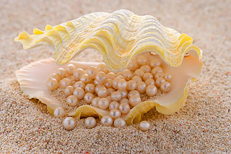 时髦不掉“链”,带你体验“腕”种风情