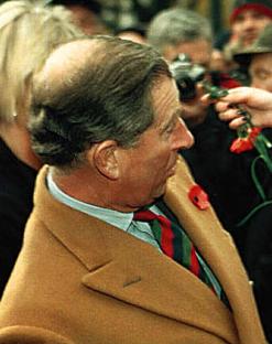 戴安娜穿裙子的视频,戴安娜王妃捡拐杖