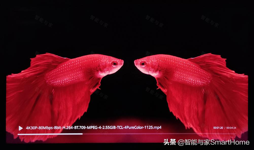 50寸智慧屏x1多少钱,55寸荣耀智慧屏x1