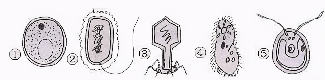 临沂市生物实验操作考试视频,临沂物理实验操作考试试题