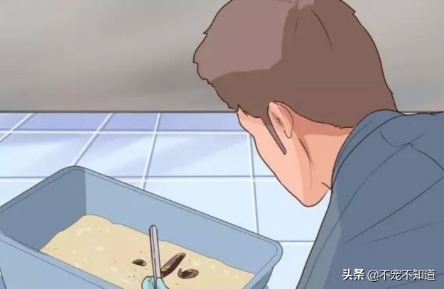 猫咪吃了驱虫药不咋吃饭了,猫咪吃了驱虫药没有排出虫子