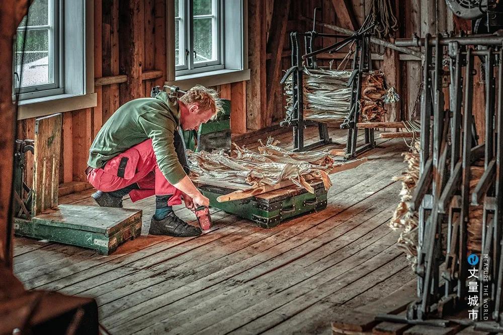 维京遇到全域旅游，美丽乡村、特色小镇一网打尽：挪威渔业史漫步