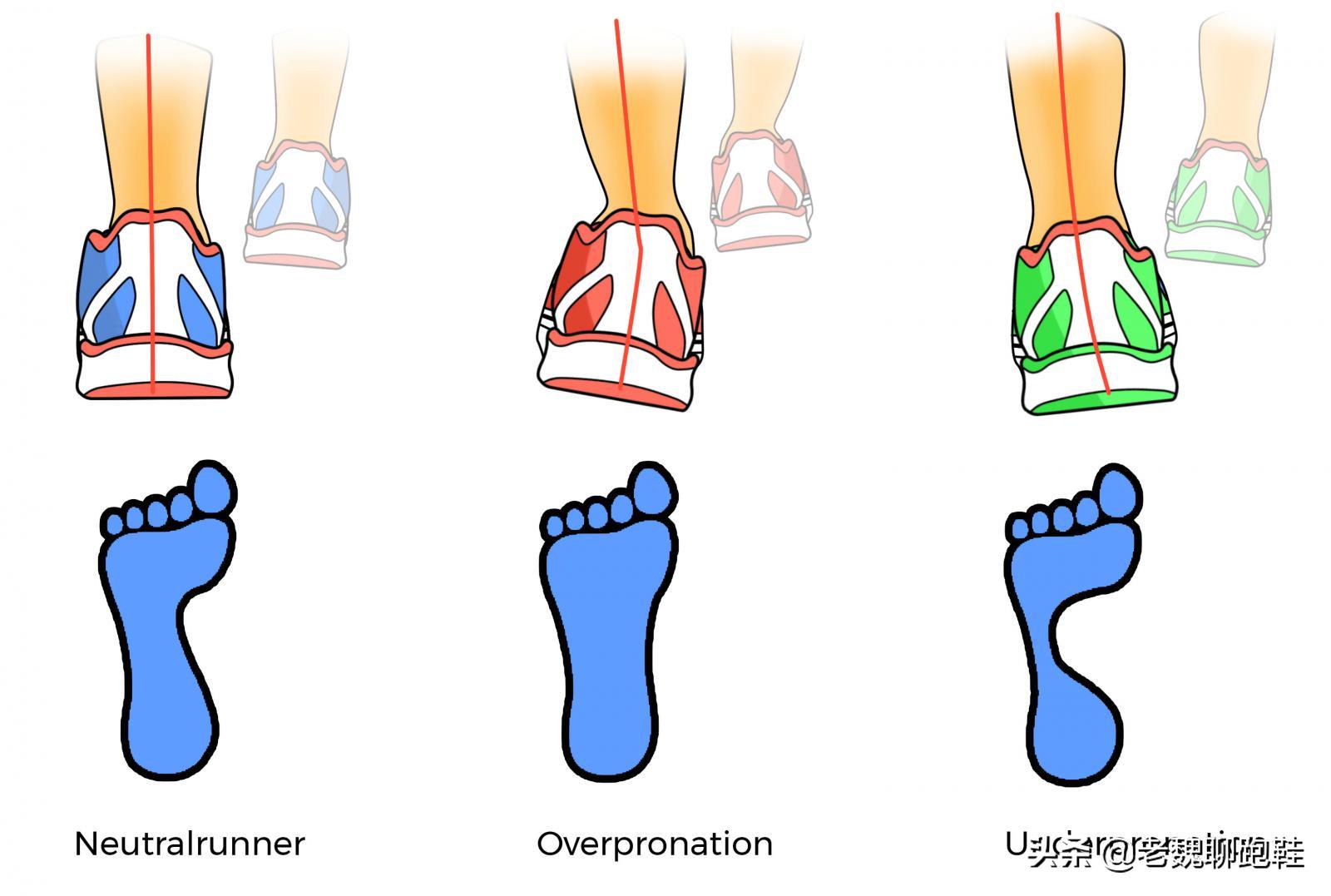 亚瑟士的两种选择,亚瑟士跑鞋怎么选号码