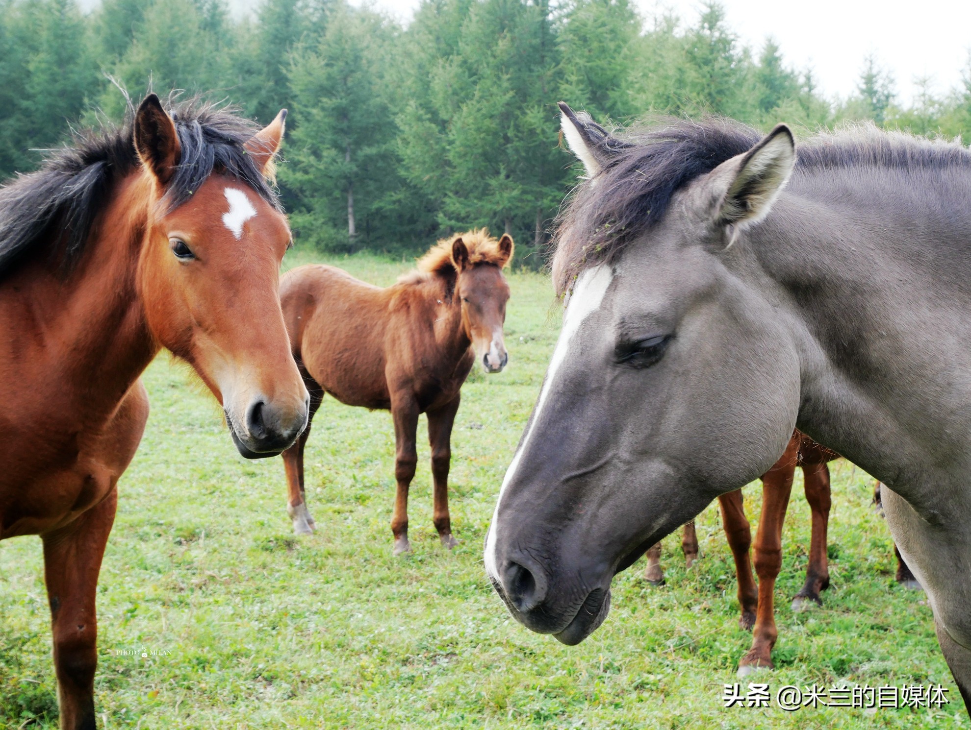 北京周边二日自驾游最佳路线图,北京周边自驾游两天一夜攻略草原