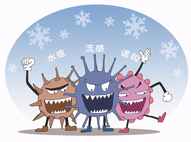 流感疫苗防止诺如病毒,新流感病毒水痘