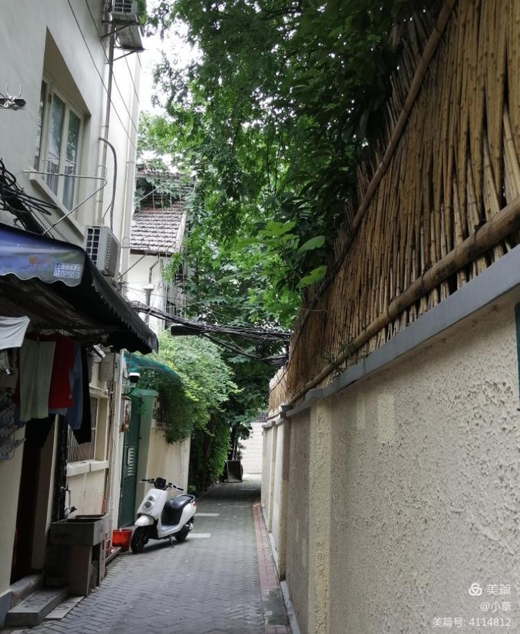 书法篆刻家张英群先生作品一览,书法家张建康作品