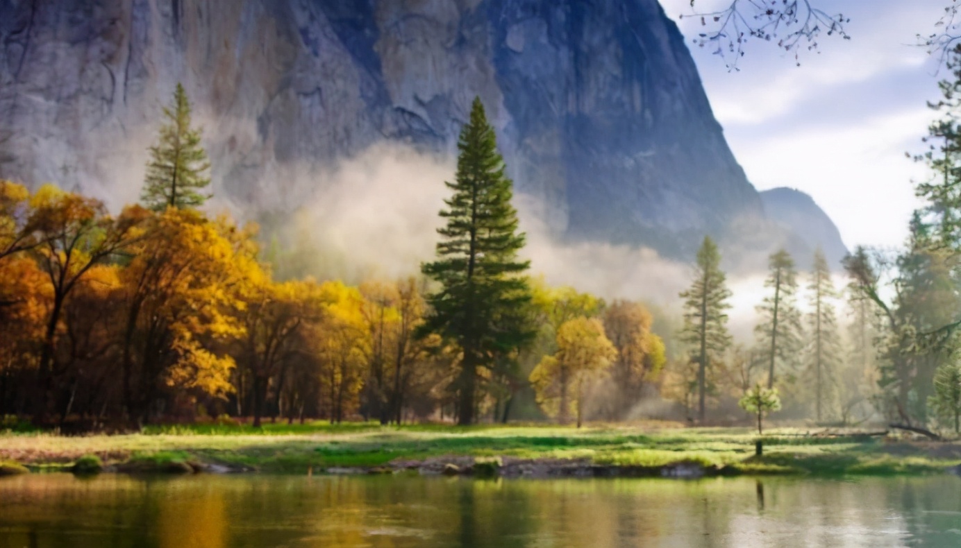 金迪国际房门卖点,金迪国际房门实体店效果图