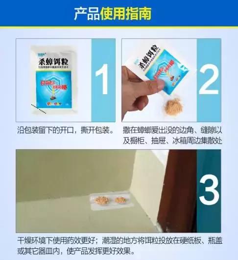最简单有效的家用灭蟑螂的方法,小强专业灭蟑螂白蚁
