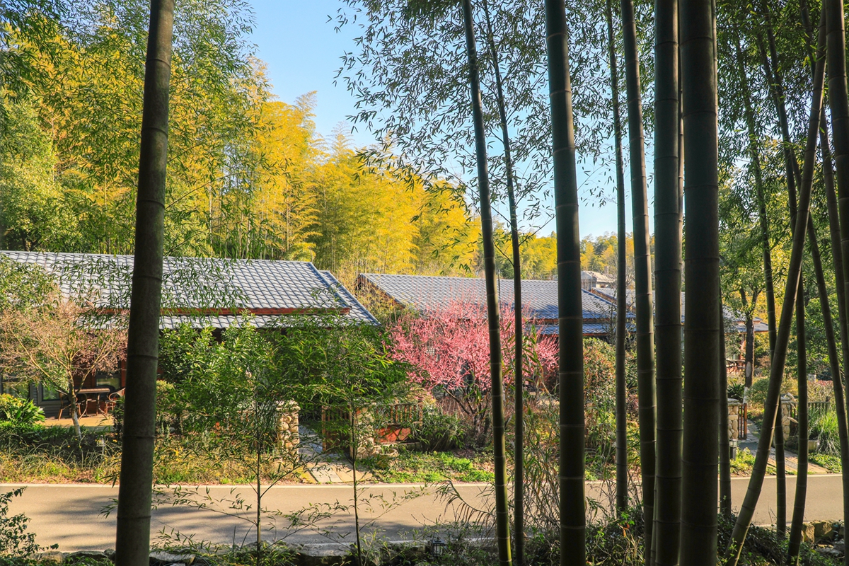 宜兴农村人均纯收入,小山村经济现状