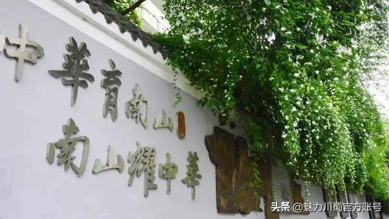 家长对学校家园合作评价,学生对绵阳南山中学评价