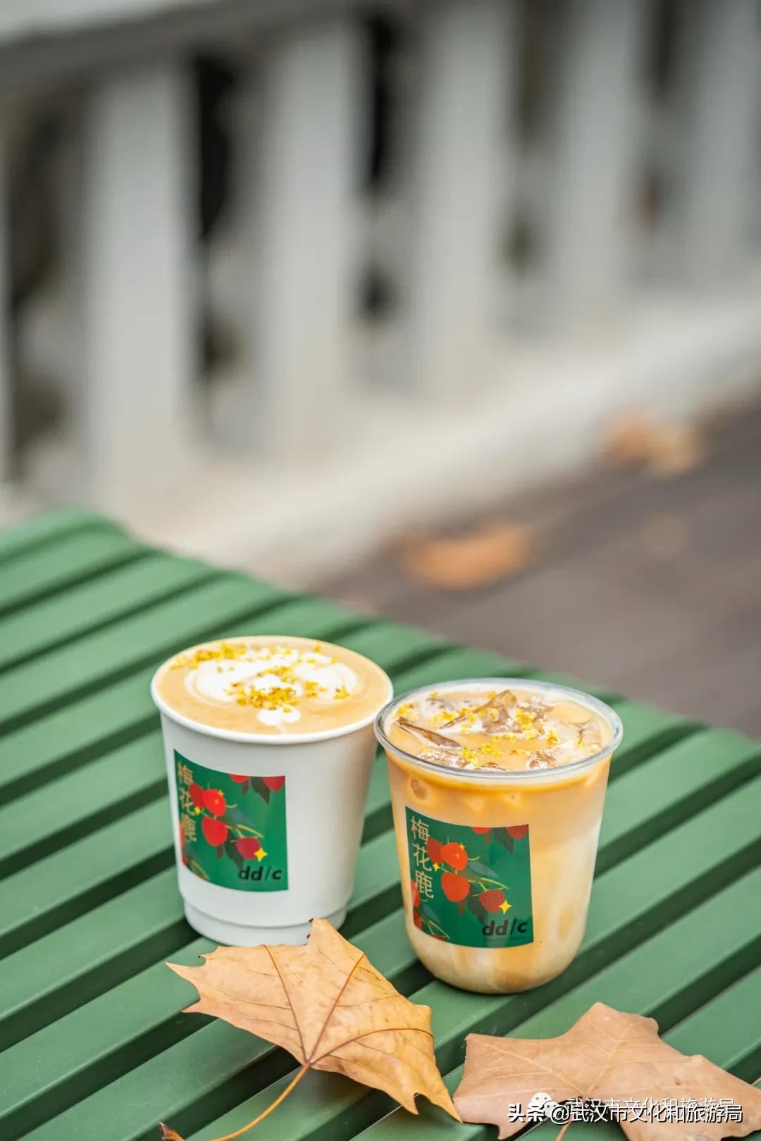 武汉12月秋季枫叶和银杏叶美景,枫叶银杏的美景最新