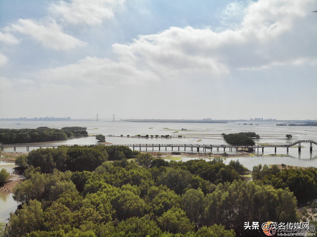 电白在崛起！——2021网络媒体看滨海（电白）采风活动