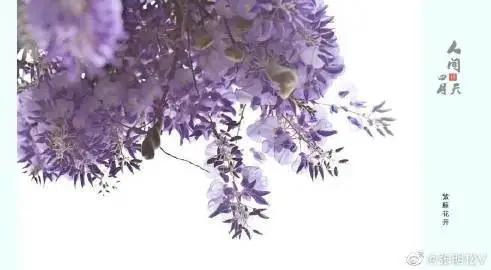 情感青丝,情感岁月