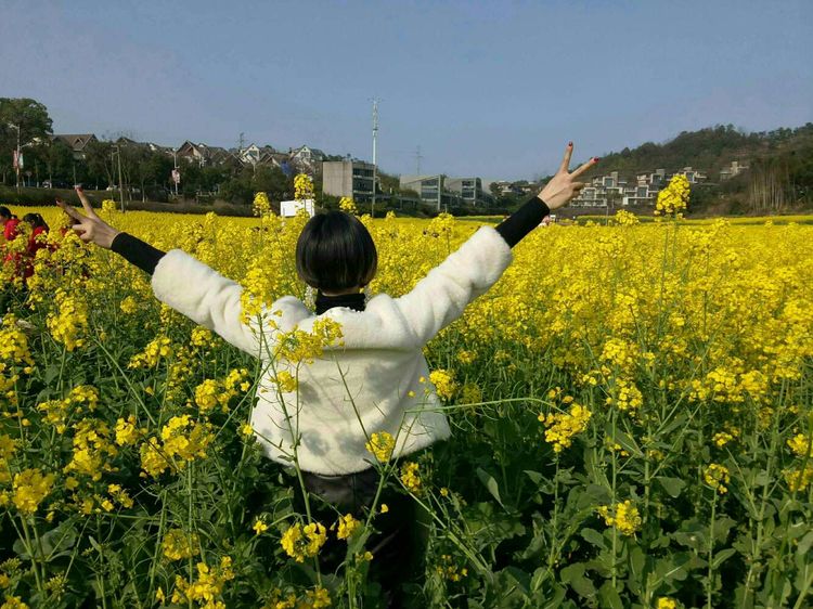 只因为在人群中多看了你一眼歌名,只因为在人群中多看了你一眼