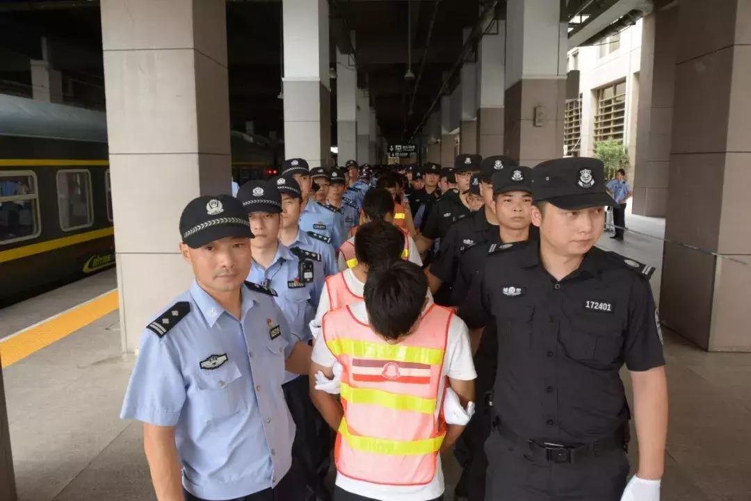 虫草姑娘卖茶女骗局,虫草姑娘卖茶被骗