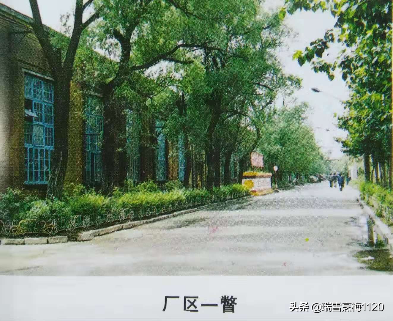 沈阳蓄电池厂老照片,沈阳汤浅电瓶有限公司