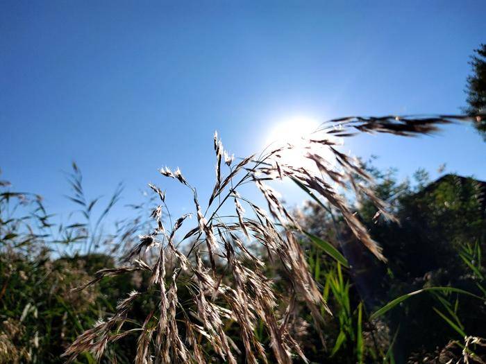 海鸟4k相机最新评测,海鸟4k运动相机深度评测